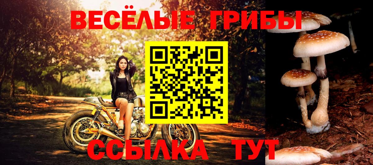 как найти закладки  Галлюциногенные грибы Magic Shrooms  Вход с VPN  Нижний Тагил 